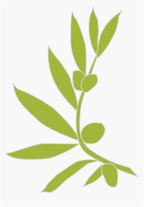 Olive Branch Vector Png, Transparent Png - kindpng