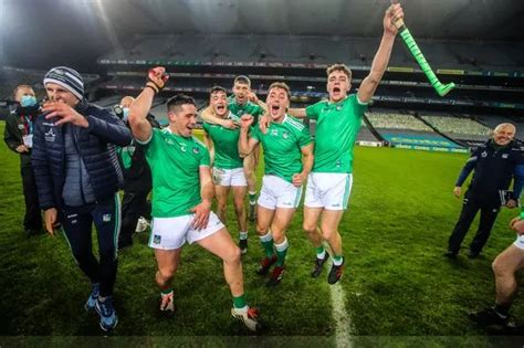 All-Ireland champions Limerick honoured with 14 PwC hurling All-Star nominations - Irish Mirror ...