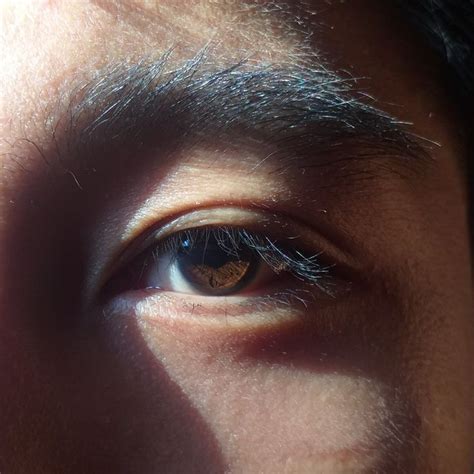 Natural Dark Brown Eyes | Brown eyes aesthetic, Aesthetic eyes, Japanese eyes