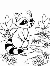 Raccoon Book Coloring Page Images  Free Download On Freepik sketch template
