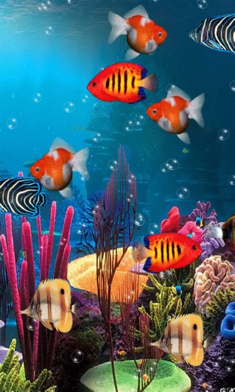 Moving Fish Wallpapers Gif