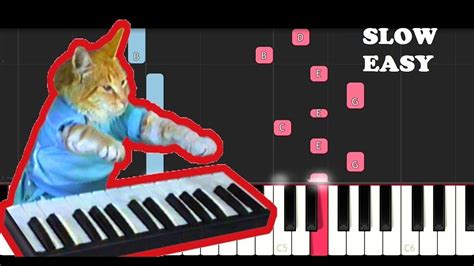 Keyboard Cat Theme (SLOW EASY PIANO TUTORIAL) - YouTube