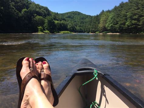 Canoeing the New River in NC - raleighparks.org