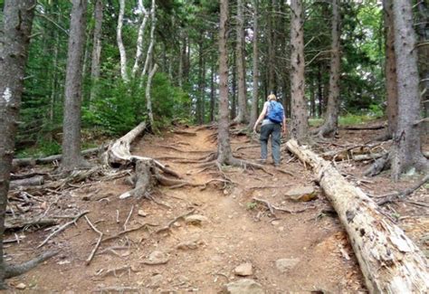 35 Camden Maine Hiking Trails to Explore in 2024