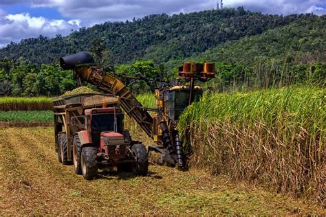 Kilombero Sugar details impact of expansion project | The Citizen