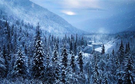 landscape, Alaska, Snow, Nature, Mountain, Forest, Winter, River, Trees ...