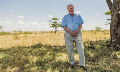 David Attenborough: A Life on Our Planet review – stark climate ...