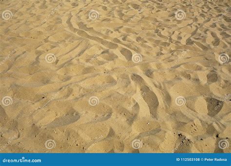 Desert and the footprints stock photo. Image of background - 112503108