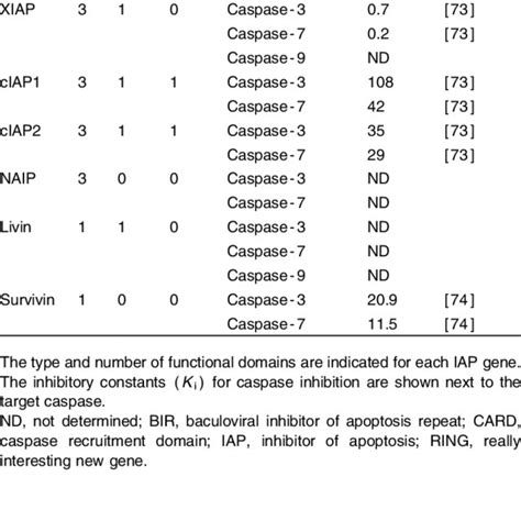 Caspase Inhibition by IAP. | Download Table