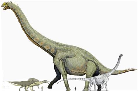 Titanosaur, Brachiosau, Spinosaur, Tyrannosaurus and Homo Sapien | Jurassic World | Pinterest ...