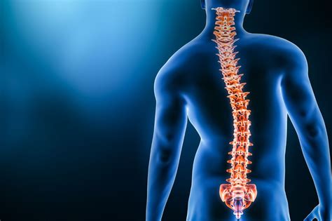 Scoliosis Types