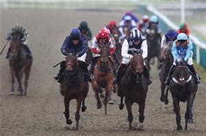 Newspaper Racing Tips on January 20th | Amazing and Oh So Grand a popular double at Lingfield