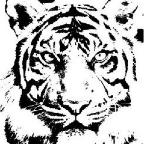 Tiger Clipart Black And White ~ Tiger Cute Baby Drawing Clipart Tigers ...