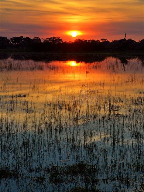 Sunset in the Okavango Delta at Sunset, Botswana Stock Image - Image of ...