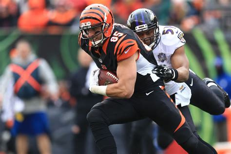 Ravens vs Bengals: Odds, expert picks, analysis, predictions for Week ...