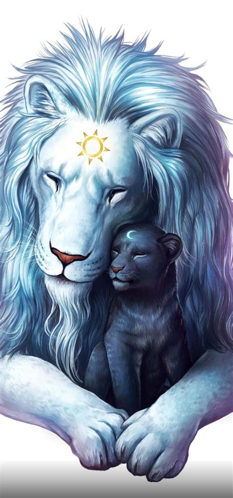 White lion and his black cub wallpaper by imholtorf on DeviantArt