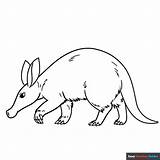 Aardvark Coloring Page  Easy Drawing Guides In 2024 Pages sketch template