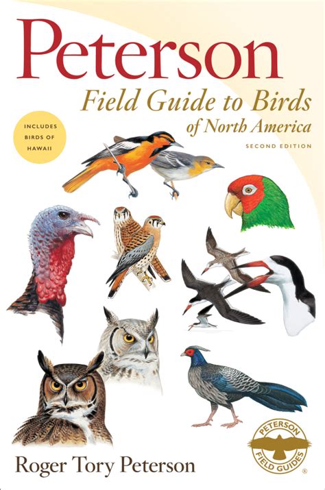 Peterson Field Guide to Birds of North America , New Second Edition ...