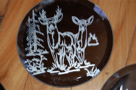 Etched Glass Wildlife Coasters - Crossknots Woodworking - Custom ...