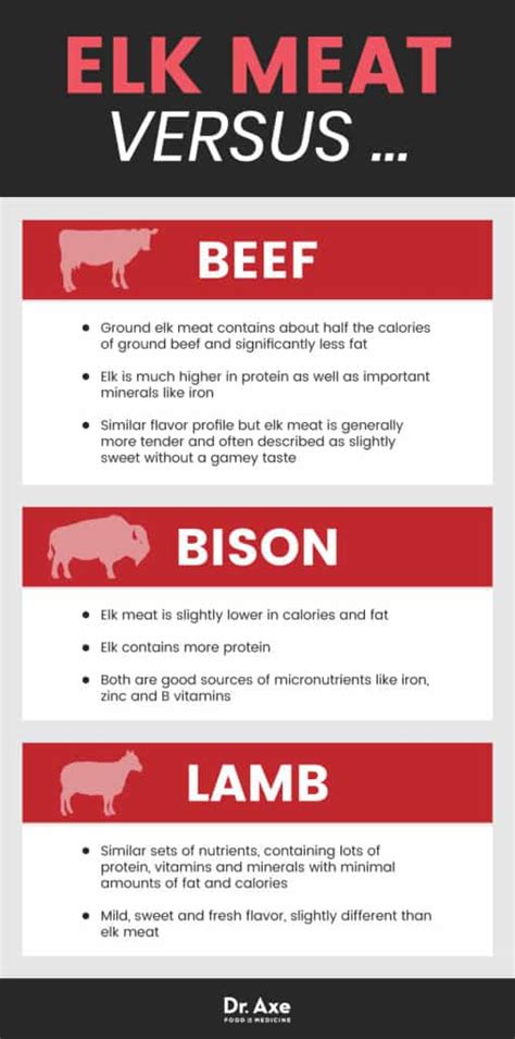 Is Elk Meat Healthy? Top 6 Benefits of Elk Meat Nutrition - Dr. Axe