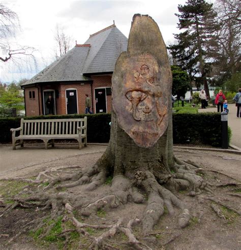 Copper Beech Tree Carving in Jephson... © Jaggery :: Geograph Britain ...