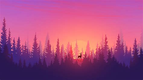 Forest Sunset Wallpaper Hd