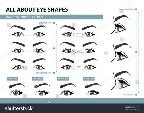 Different Eye Shapes Chart