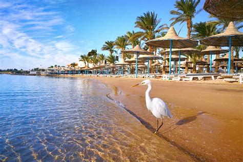 ¿Un resort familiar o una escapada de élite la costa norte de Egipto ...