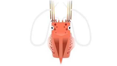 [Colossal Squid] Magnapinna Squid (52c) : r/deeeepioskins