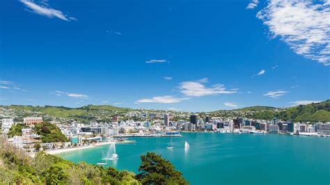 8 things to see and do in Wellington, New Zealand