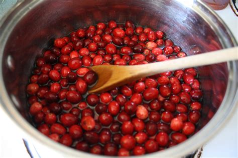 How to Dry Cranberries: Best Methods to Dry Cranberries At Home