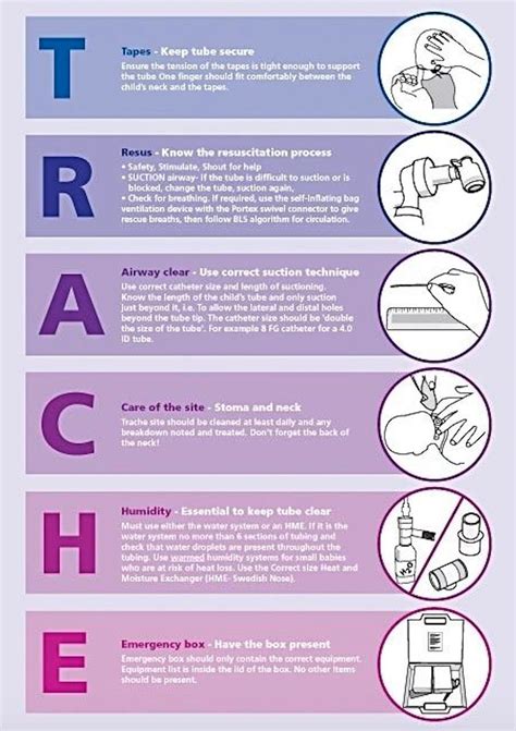 Implementation of the TRACHE care bundle: improving safety in paediatric tracheostomy management ...