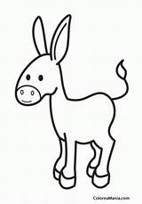 Colorear Burrito ruc Donkey Animales Domésticos Dibujo Para  sketch template