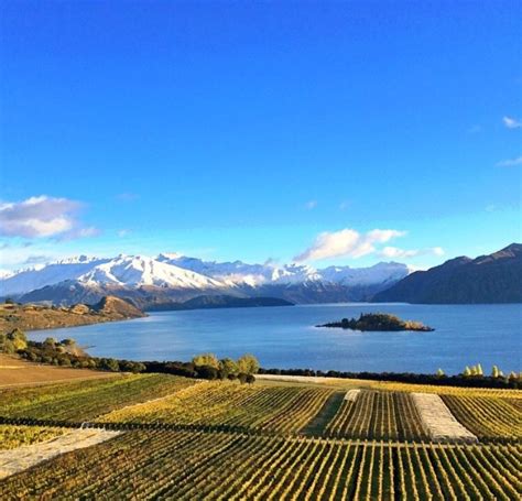 Rippon Vineyard Tours - Book Now | Expedia