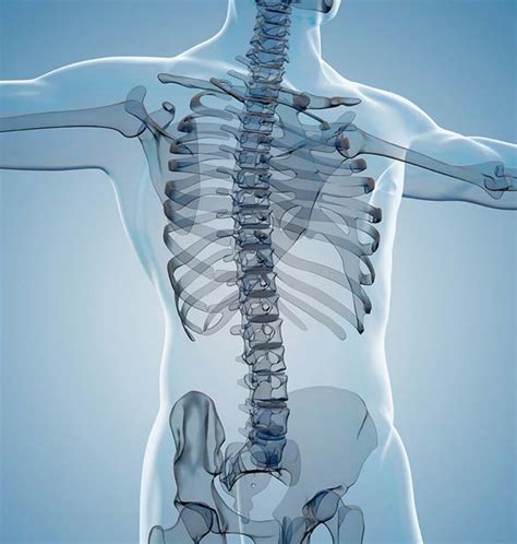 Bone Disease Treatment in Forest Hills, Queens, NY | Medex - Multi-Specialty Medical Center