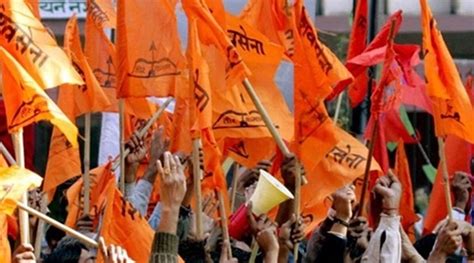 Shiv Sena candidates win gram panchayat bypolls in Dadra and Nagar Haveli | Ahmedabad News - The ...