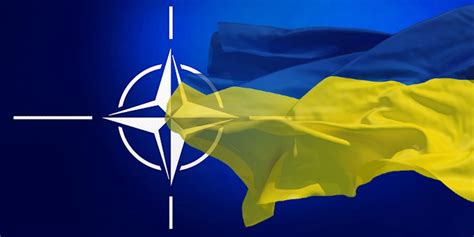 83% of Ukrainians support joining NATO - Ukrainian World Congress ...