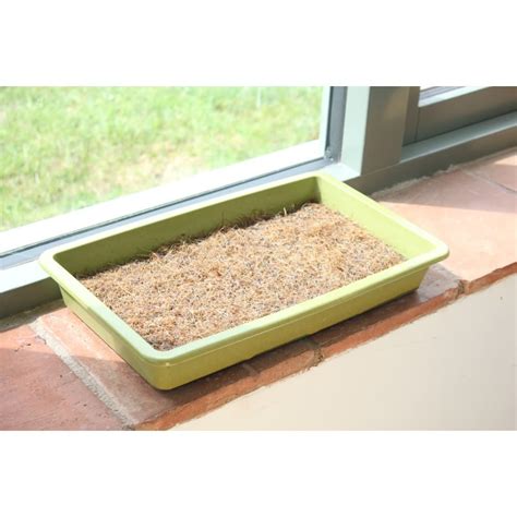 Microgreens Growing Mat Pack of 3 | Haxnicks