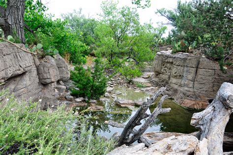 Living Desert Zoo and Gardens in New Mexico