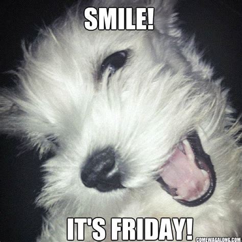 Thank God It's Friday - Dog Edition Friday Memes! - Come Wag Along