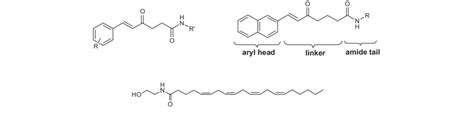 Chemical structure of anandamide and the general skeletons of the... | Download Scientific Diagram