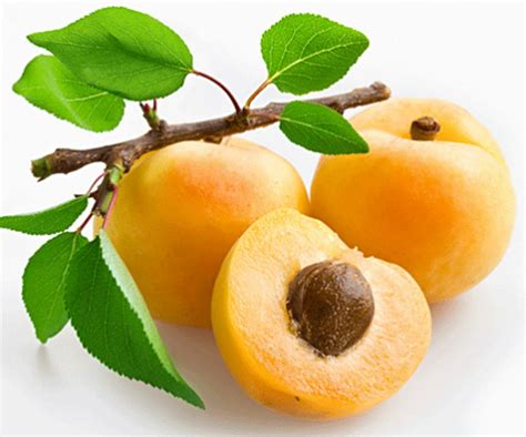 5 Apricot (Prunus armeniaca) -tree bio seeds - Delicious fruit!Easy to plant!!