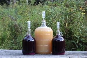 How to Make Wine From Grapes — Practical Self Reliance