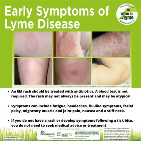 Identifying Lyme Disease Rash