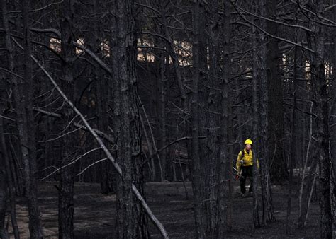 Aftermath of Colorado’s Most Destructive Wildfire