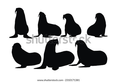 3,111 Sea Lion Silhouette Images, Stock Photos, 3D objects, & Vectors | Shutterstock