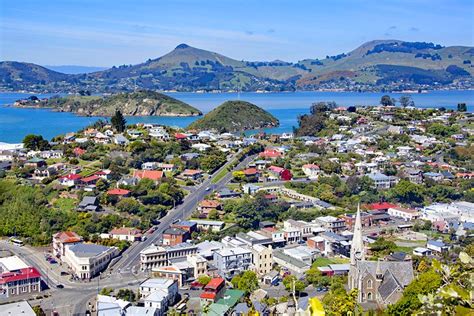 14 Top-Rated Tourist Attractions in Dunedin | PlanetWare