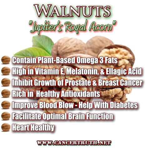 Health Benefits: Walnut Benefits Health