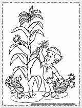 Crops Coloring Pages At GetColoringscom  Free Printable Colorings sketch template