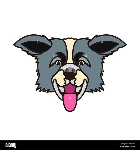 head of cute border collie dog on white background Stock Vector Image & Art - Alamy